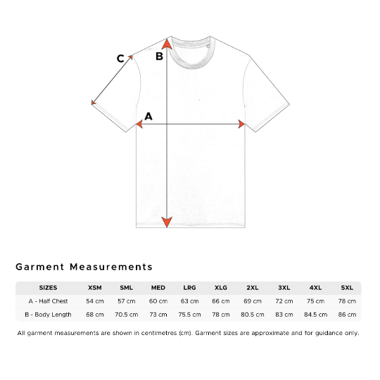 Federal Sun Relax Faded Hoodie